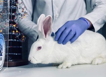 WhatsApp Image 2025-09-25 at 12.49.55 PM